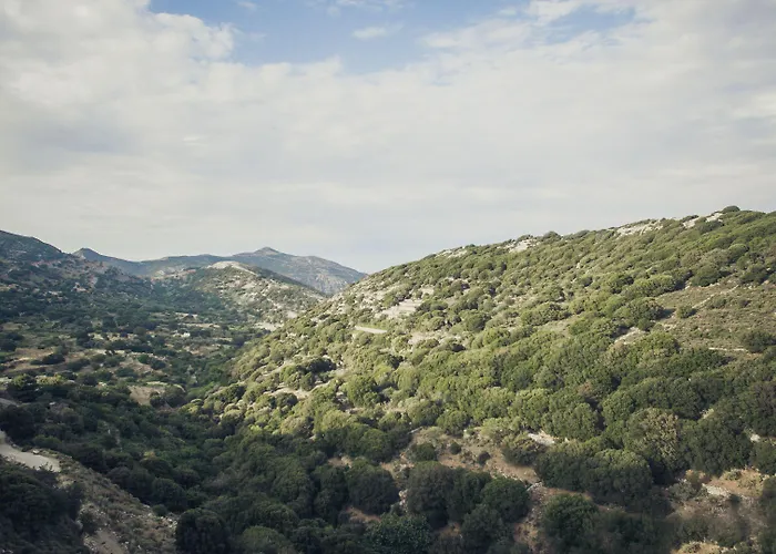 Traditional Pirethron 펜션 Apérathos