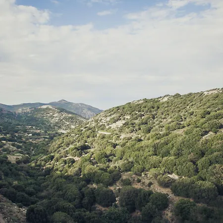 Traditional Pirethron Vakantiehuis Apérathos