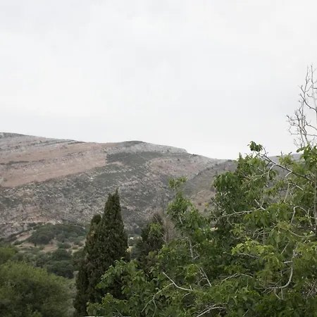 Traditional Pirethron Apérathos