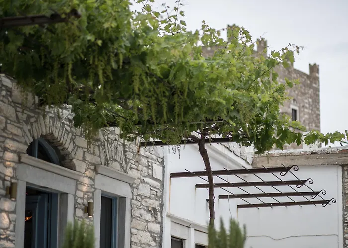 Traditional Pirethron * Apérathos